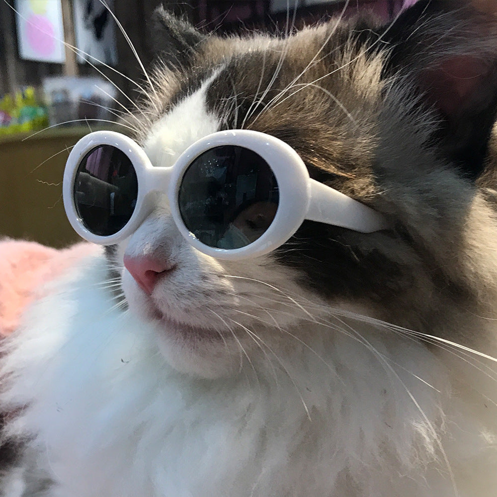 Gafas de sol de PC de mascotas al por mayor